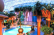 Royal Caribbean Cruises